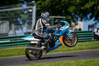 cadwell-no-limits-trackday;cadwell-park;cadwell-park-photographs;cadwell-trackday-photographs;enduro-digital-images;event-digital-images;eventdigitalimages;no-limits-trackdays;peter-wileman-photography;racing-digital-images;trackday-digital-images;trackday-photos